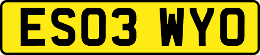 ES03WYO