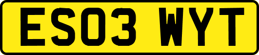 ES03WYT
