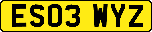 ES03WYZ