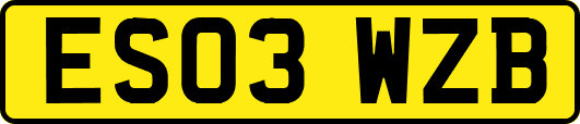ES03WZB
