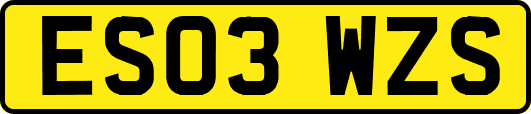 ES03WZS