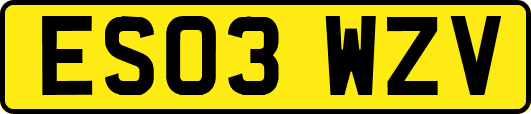ES03WZV