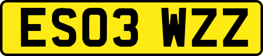 ES03WZZ