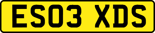 ES03XDS