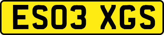 ES03XGS