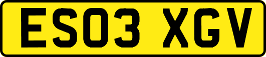 ES03XGV