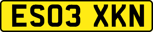 ES03XKN