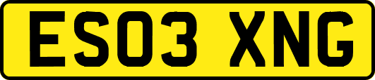 ES03XNG