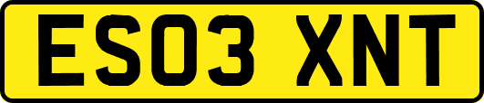 ES03XNT