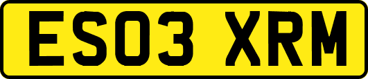 ES03XRM