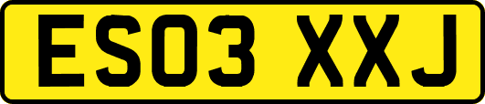 ES03XXJ