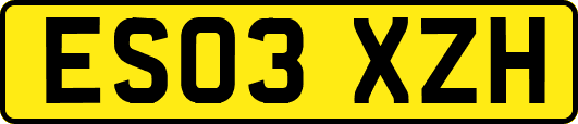 ES03XZH