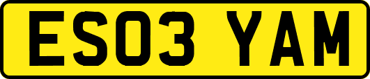 ES03YAM