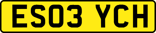 ES03YCH