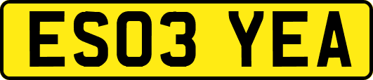 ES03YEA