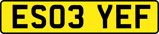 ES03YEF
