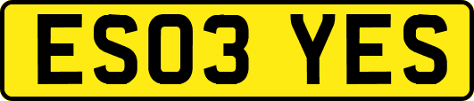 ES03YES