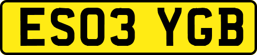 ES03YGB