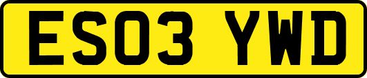 ES03YWD