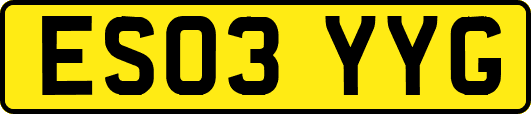 ES03YYG