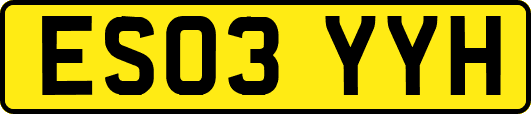 ES03YYH