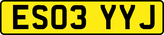 ES03YYJ