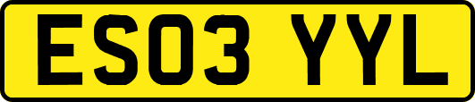 ES03YYL