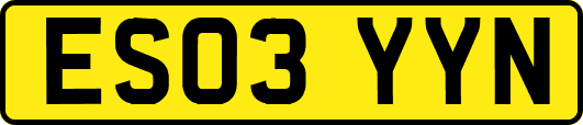 ES03YYN