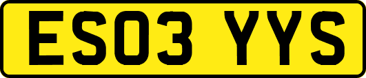 ES03YYS