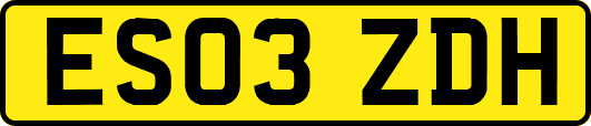 ES03ZDH