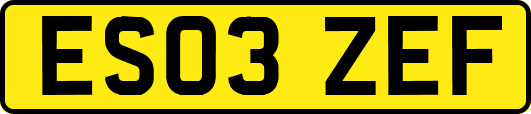 ES03ZEF