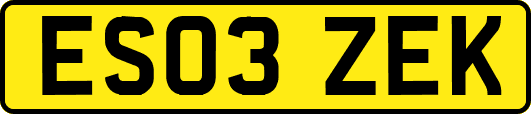 ES03ZEK