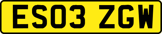 ES03ZGW