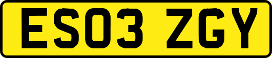 ES03ZGY
