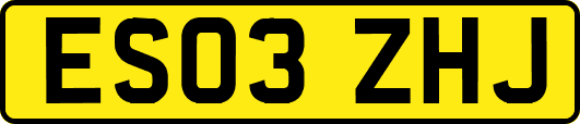 ES03ZHJ