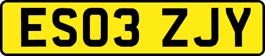 ES03ZJY