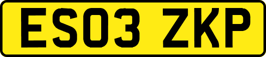 ES03ZKP