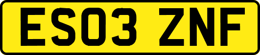 ES03ZNF
