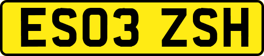 ES03ZSH
