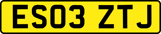 ES03ZTJ