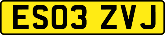 ES03ZVJ