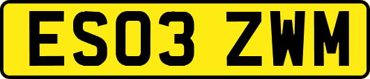 ES03ZWM