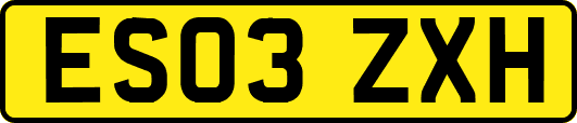 ES03ZXH