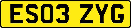 ES03ZYG