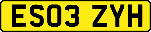 ES03ZYH