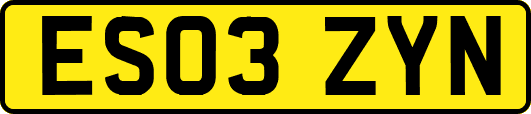 ES03ZYN