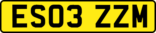 ES03ZZM