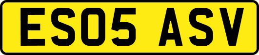 ES05ASV