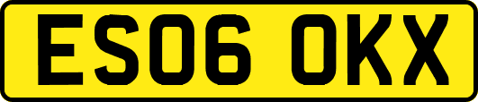 ES06OKX