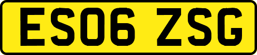 ES06ZSG